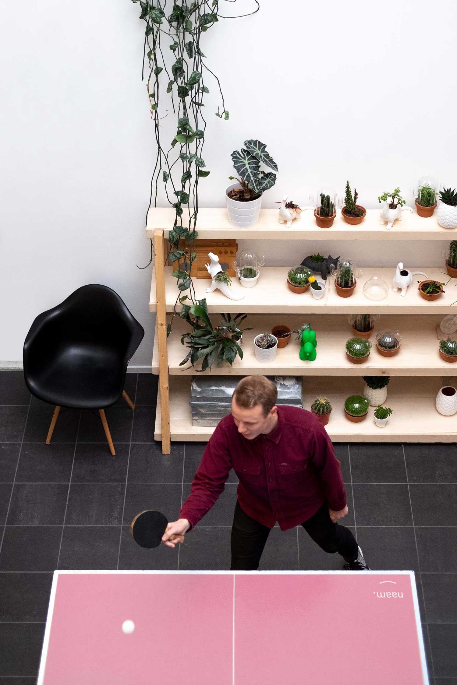 Playing ping pong on a pink table and a beautiful shelve with cacti and Eames chair at the Naam office